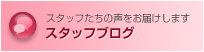 スタッフブログ